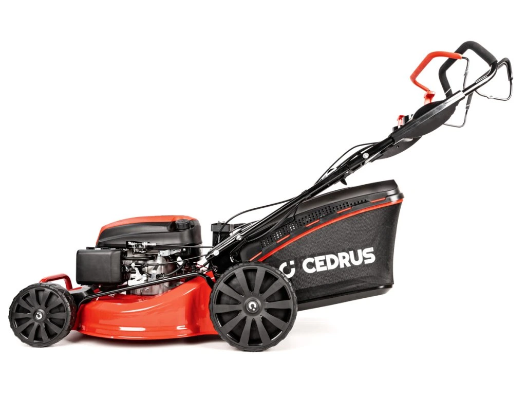 Cedrus KS53SV-E